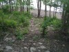 Thumbnail IMG_20120625_123518.jpg 