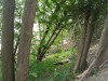 Thumbnail IMG_20120625_123541.jpg 