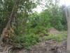 Thumbnail IMG_20120625_123558.jpg 