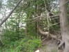 Thumbnail IMG_20120625_123612.jpg 