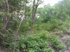 Thumbnail IMG_20120625_123615.jpg 