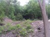 Thumbnail IMG_20120625_123618.jpg 