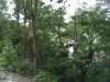 Thumbnail IMG_20120625_123644.jpg 