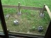 Thumbnail cimg1352.jpg 