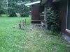 Thumbnail cimg1353.jpg 
