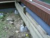 Thumbnail cimg1357.jpg 