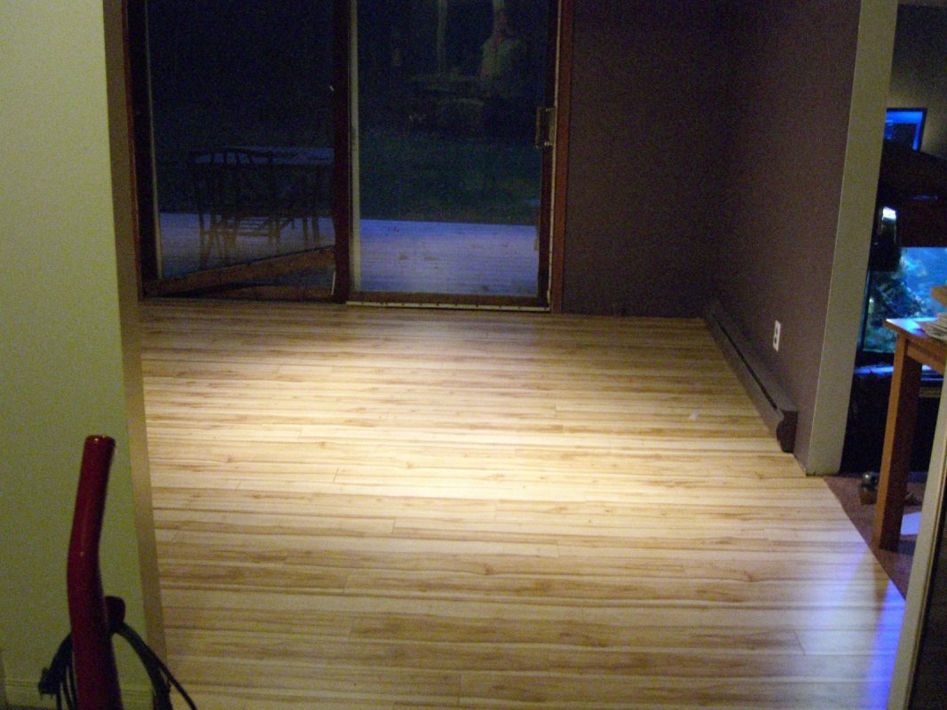 Scaled image cimg1690.jpg (141kB)