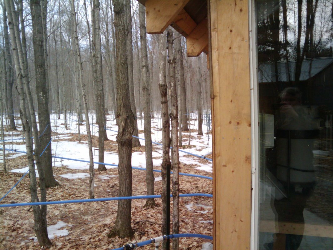 Scaled image 2010-03-11_14.29.50.jpg (186kB)