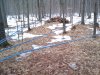 Thumbnail 2010-03-11_14.28.56.jpg 