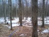 Thumbnail 2010-03-11_14.29.04.jpg 