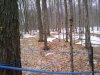 Thumbnail 2010-03-11_14.29.38.jpg 