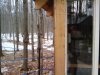 Thumbnail 2010-03-11_14.29.44.jpg 