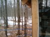 Thumbnail 2010-03-11_14.29.50.jpg 
