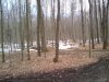 Thumbnail 2010-03-11_14.30.18.jpg 