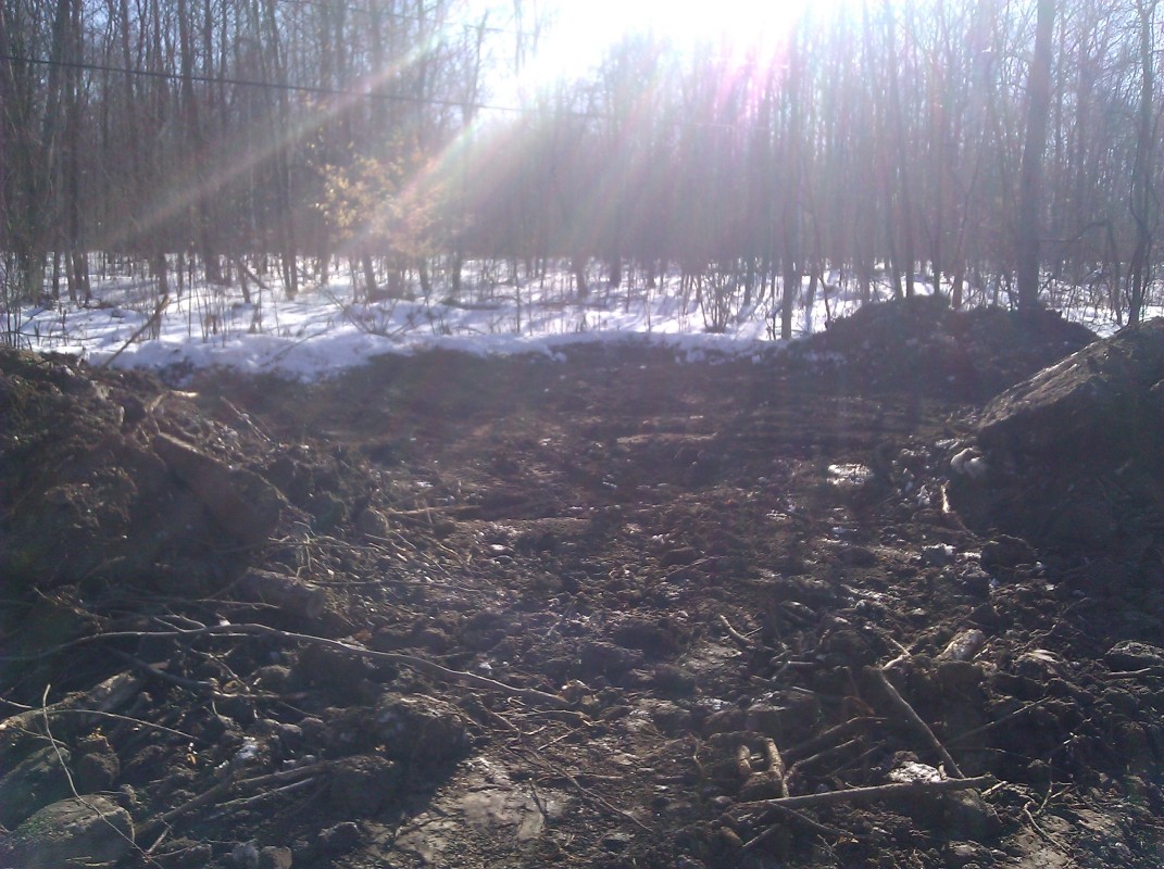 Scaled image IMG_20110221_145209.jpg (283kB)