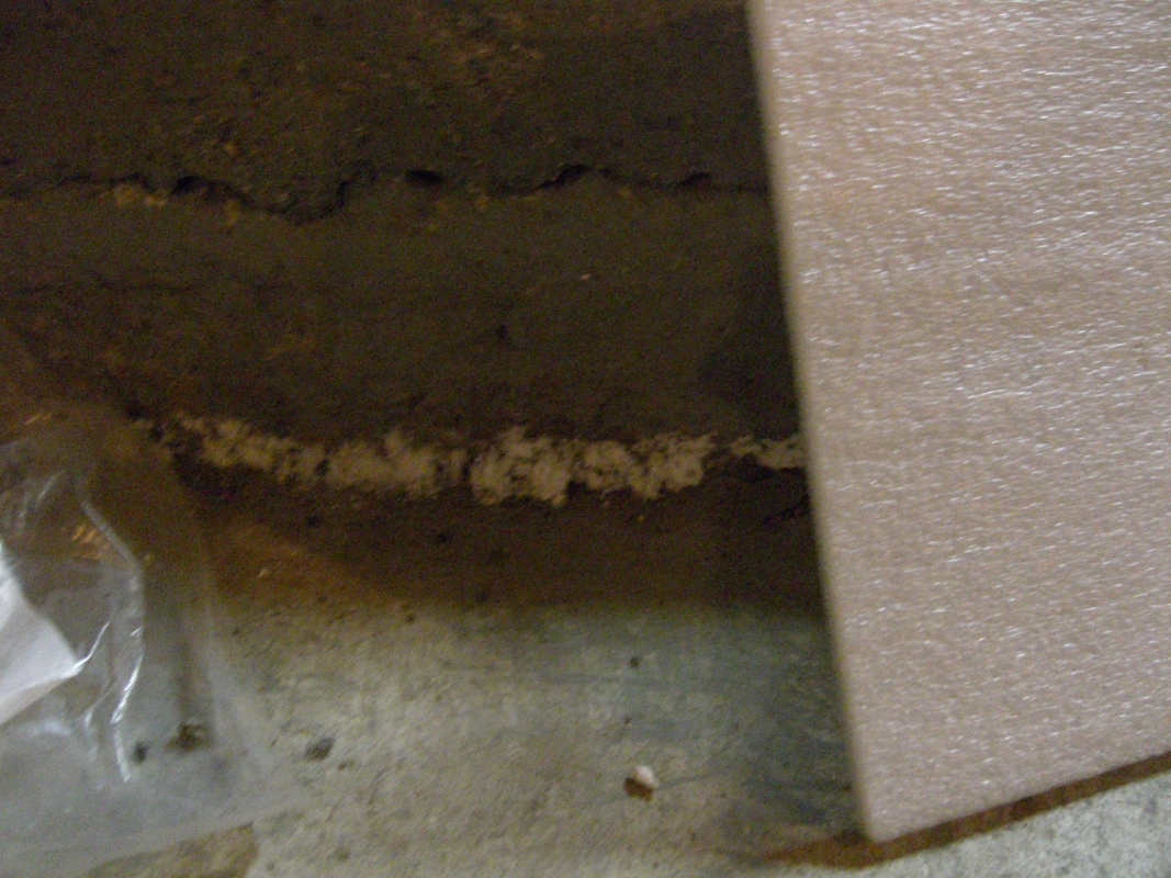 Scaled image cimg2199.jpg (697kB)