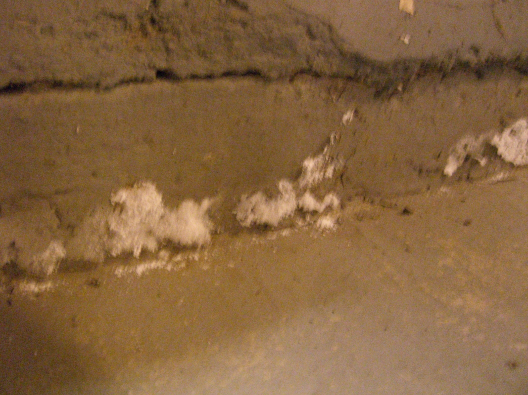 Scaled image cimg2201.jpg (637kB)