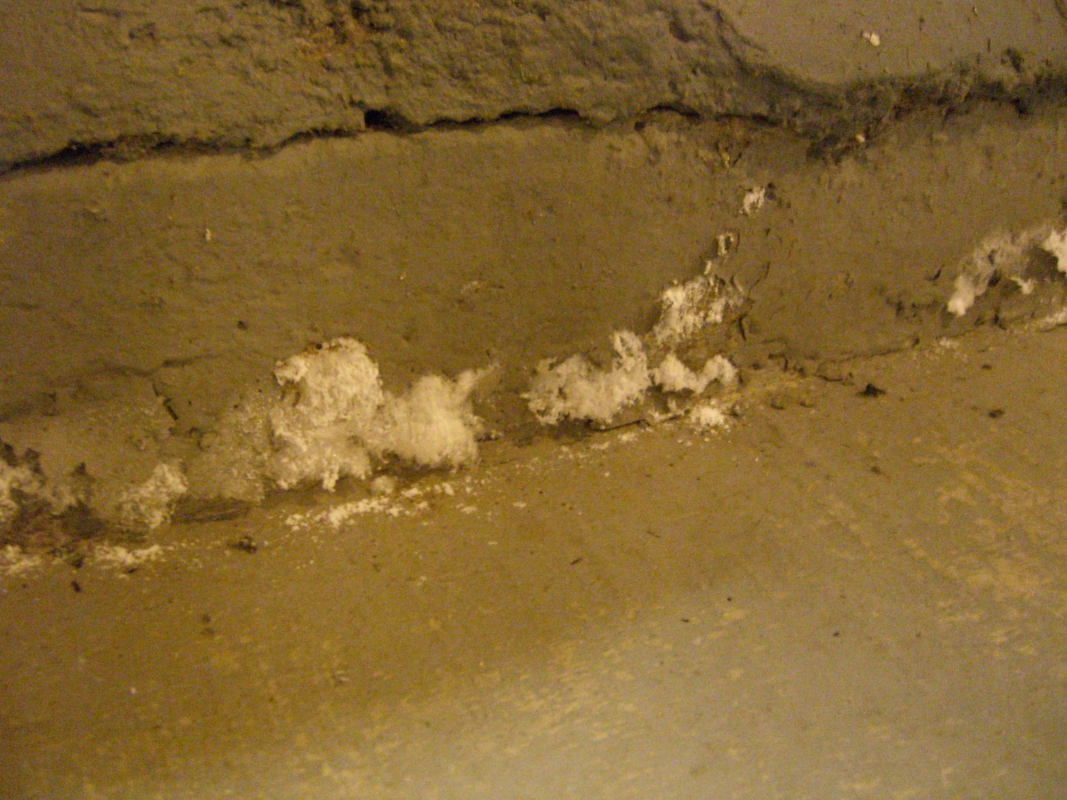 Scaled image cimg2202.jpg (651kB)