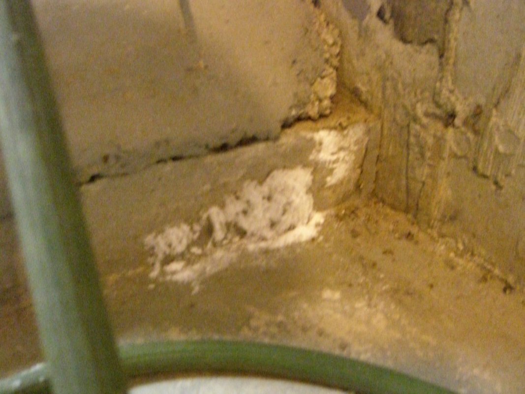 Scaled image cimg2203.jpg (555kB)