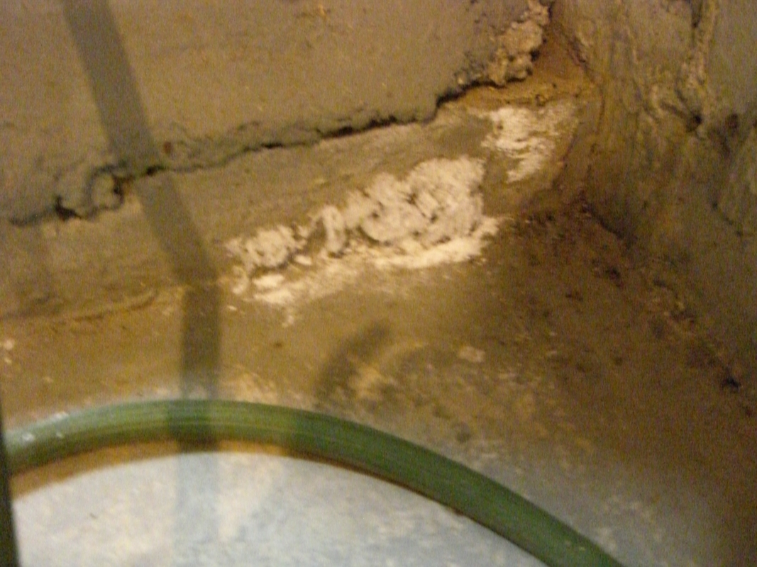 Scaled image cimg2204.jpg (564kB)