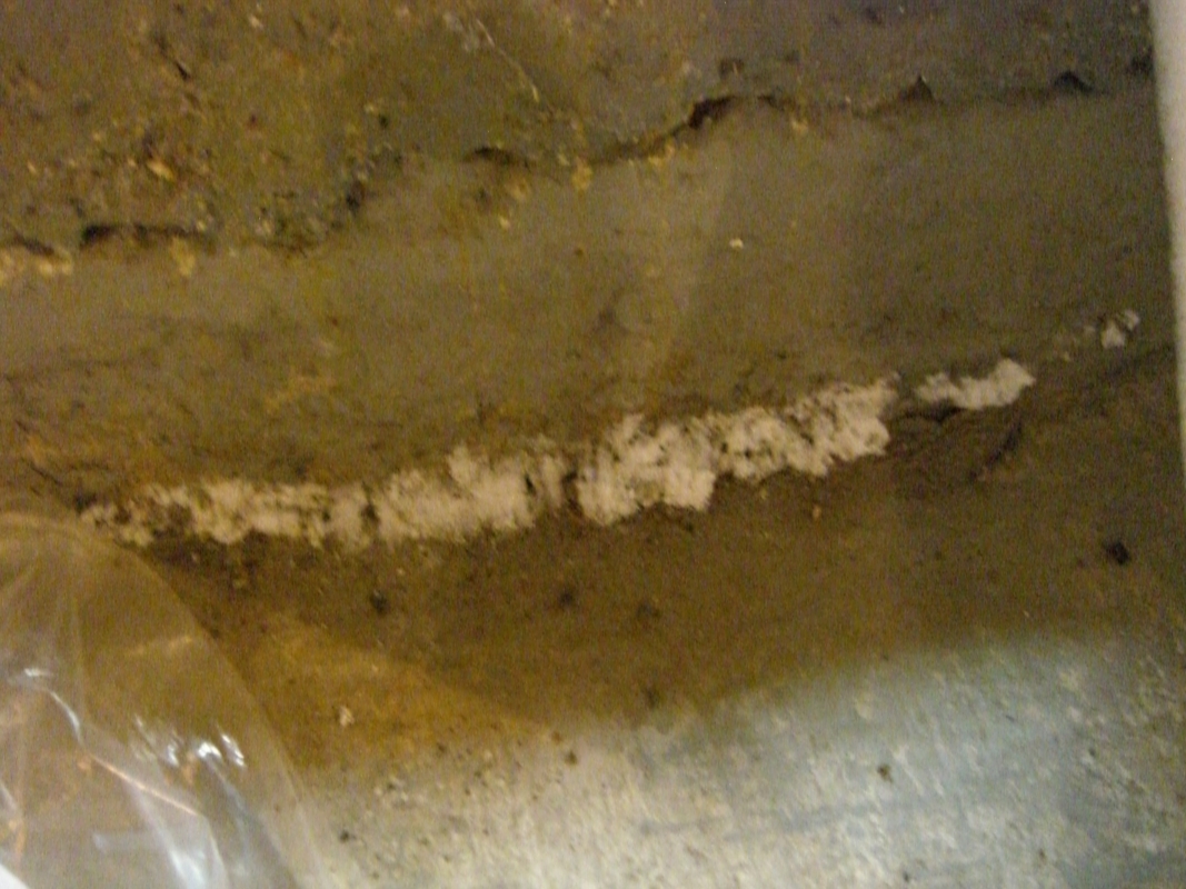 Scaled image cimg2209.jpg (572kB)