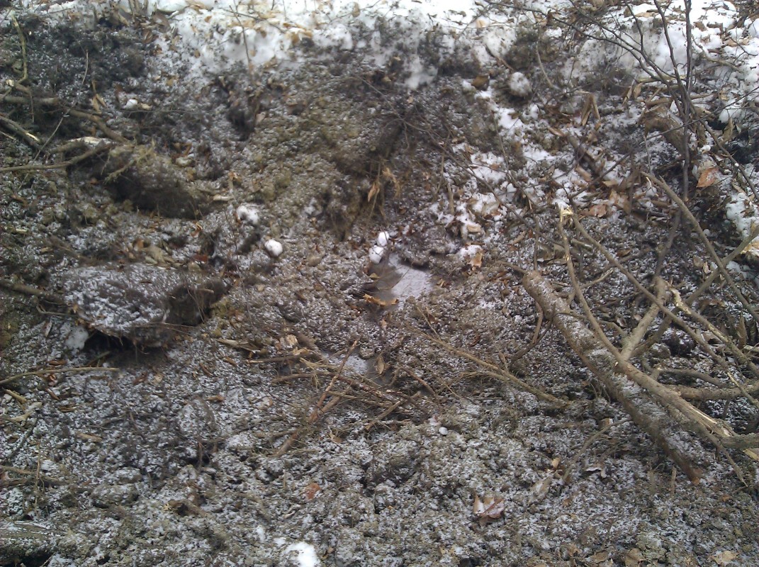 Scaled image IMG_20110219_121553.jpg (383kB)