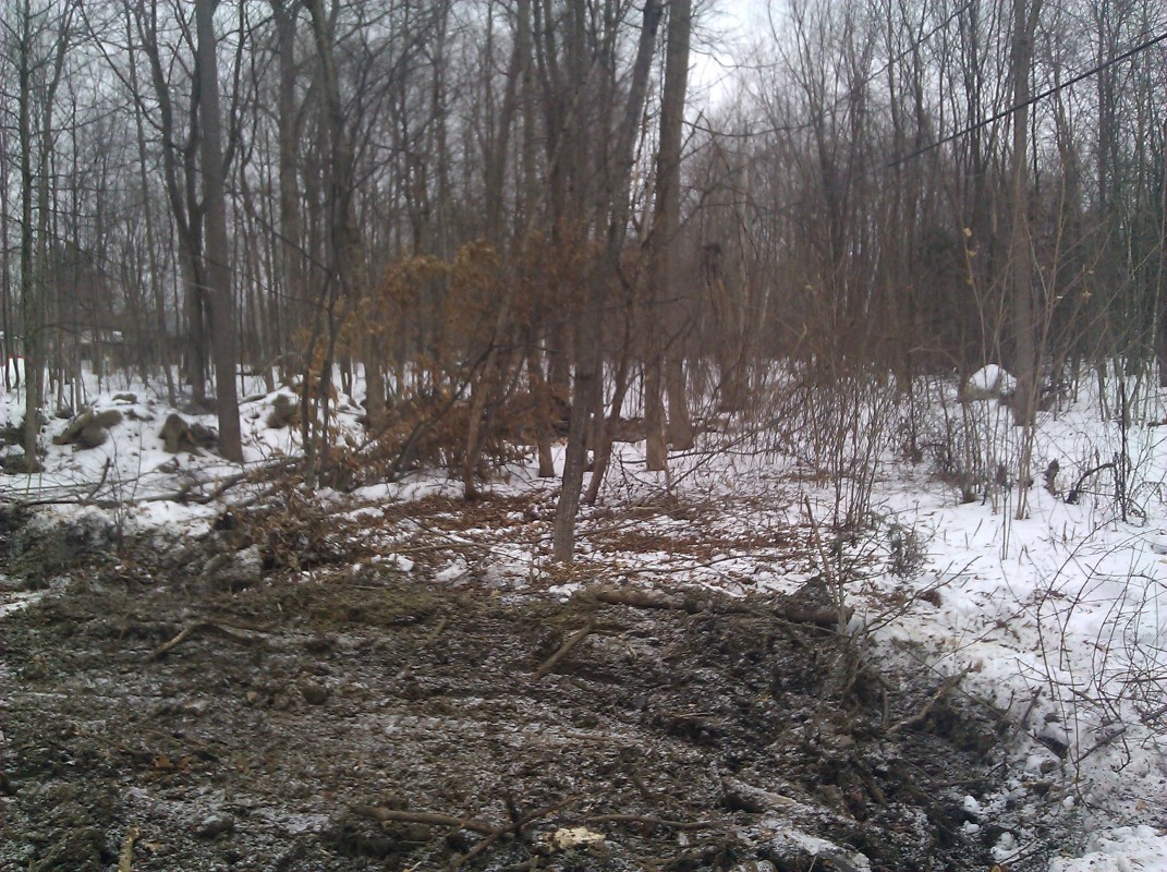 Scaled image IMG_20110219_121642.jpg (332kB)