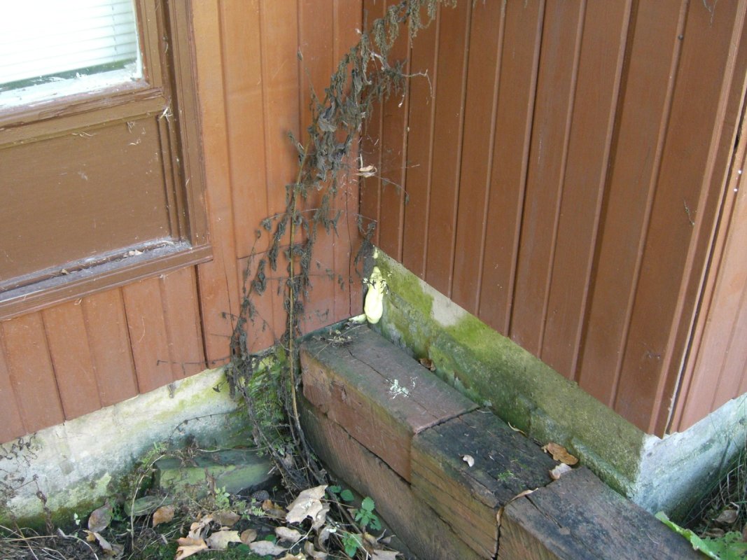 Scaled image cimg1666.jpg (159kB)