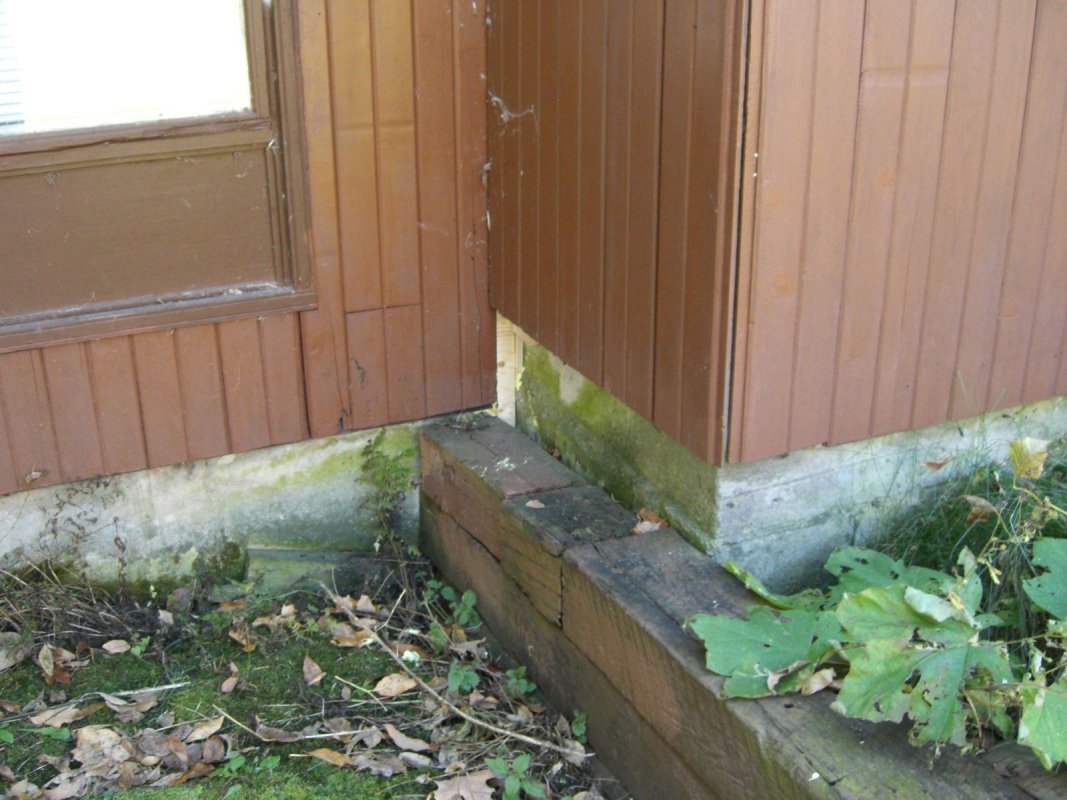 Scaled image cimg1670.jpg (143kB)