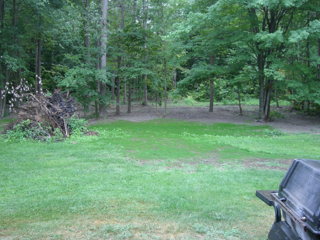 Scaled image cimg2125.jpg (772kB)