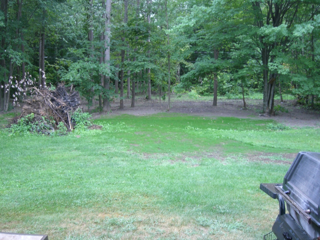 Scaled image cimg2126.jpg (705kB)