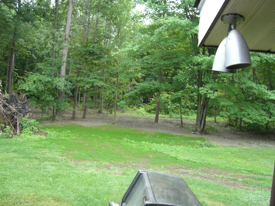 Scaled image cimg2127.jpg (761kB)