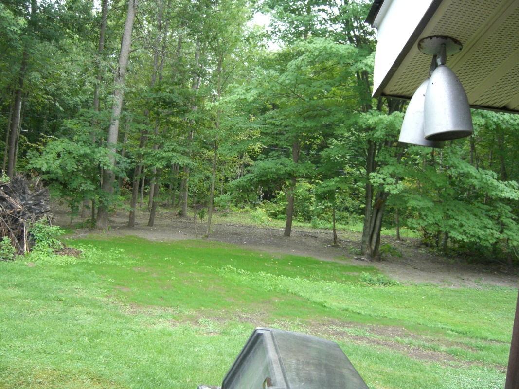 Scaled image cimg2128.jpg (763kB)
