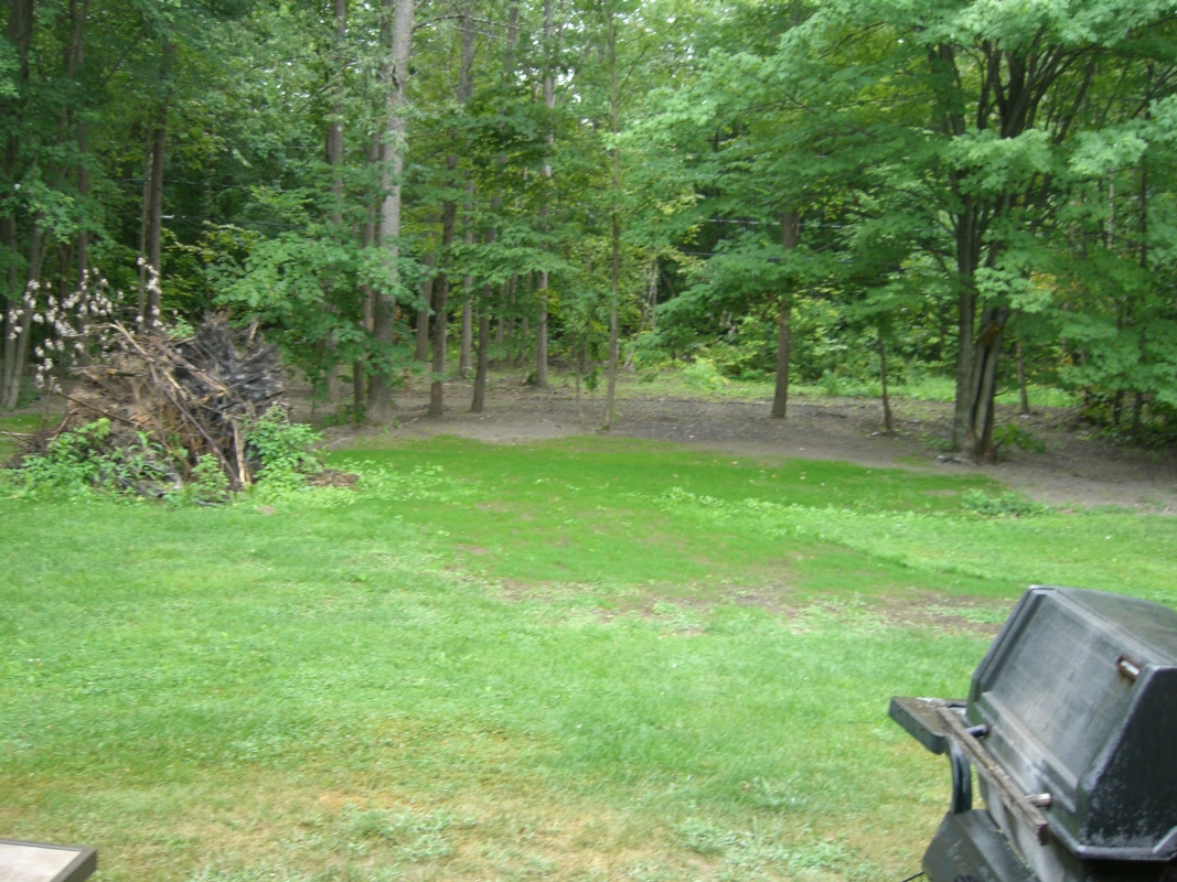 Scaled image cimg2129.jpg (696kB)