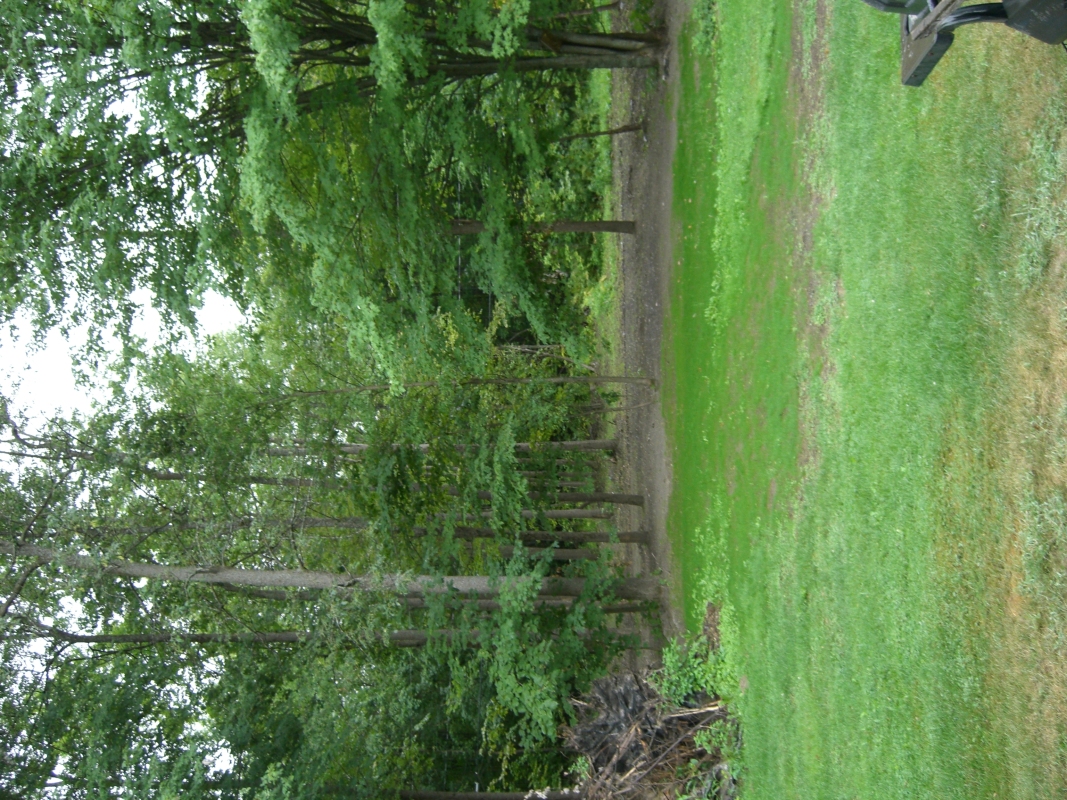 Scaled image cimg2130.jpg (774kB)