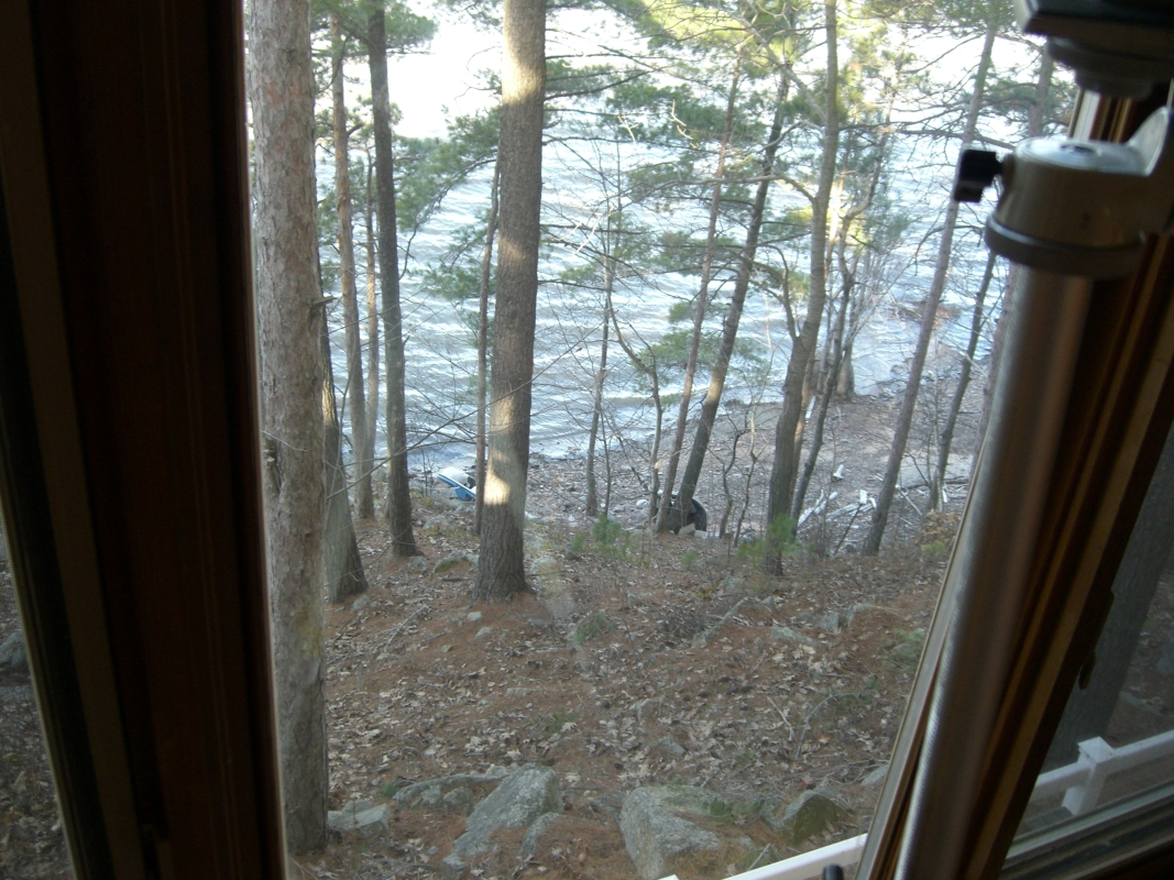 Scaled image cimg1744.jpg (715kB)