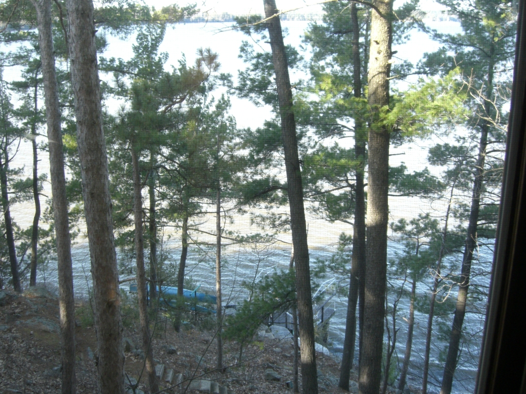 Scaled image cimg1746.jpg (742kB)