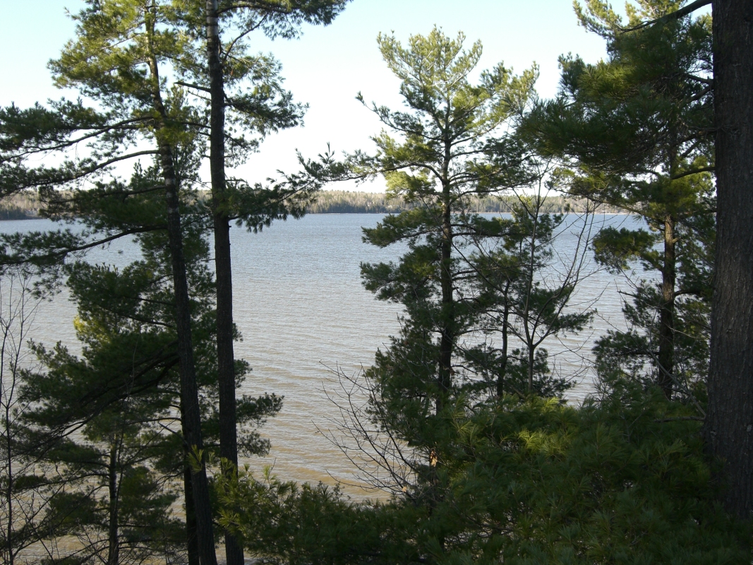 Scaled image cimg1751.jpg (739kB)