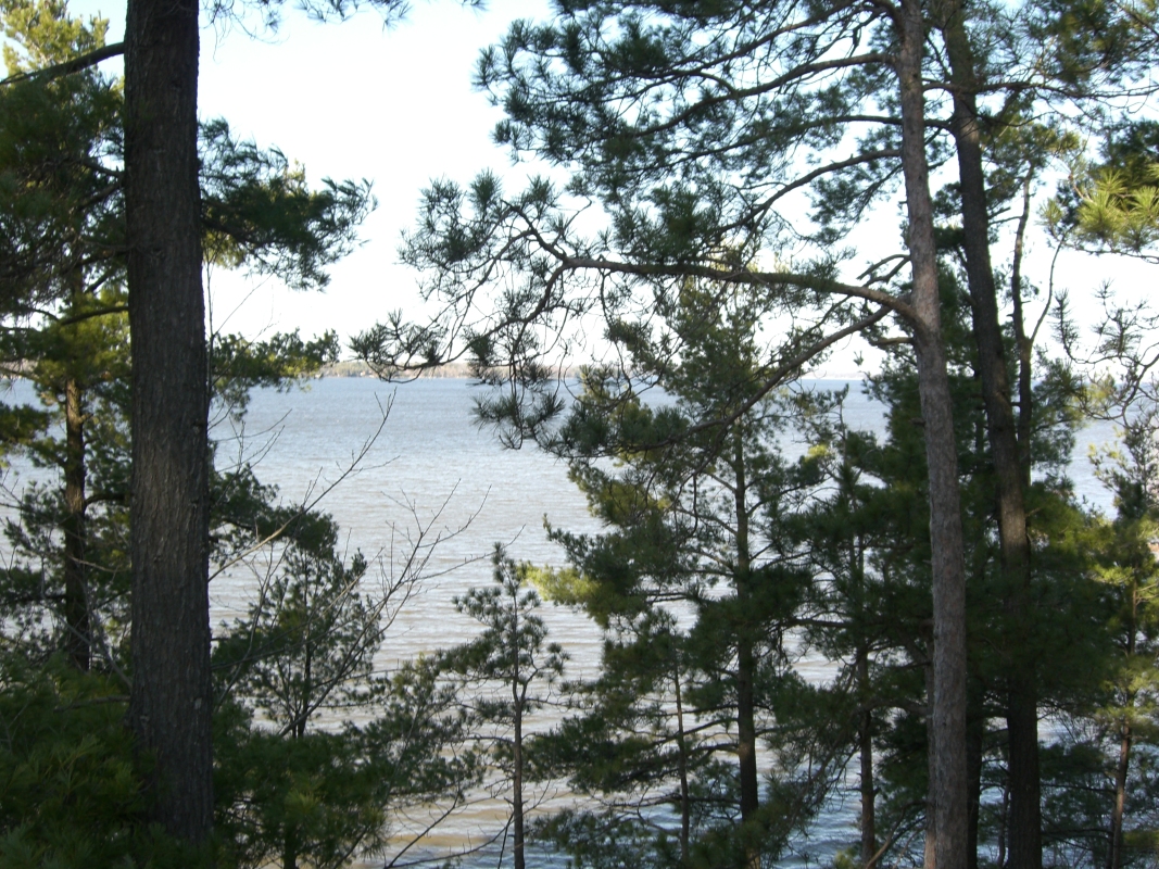 Scaled image cimg1752.jpg (730kB)