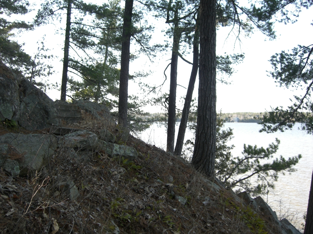 Scaled image cimg1768.jpg (767kB)