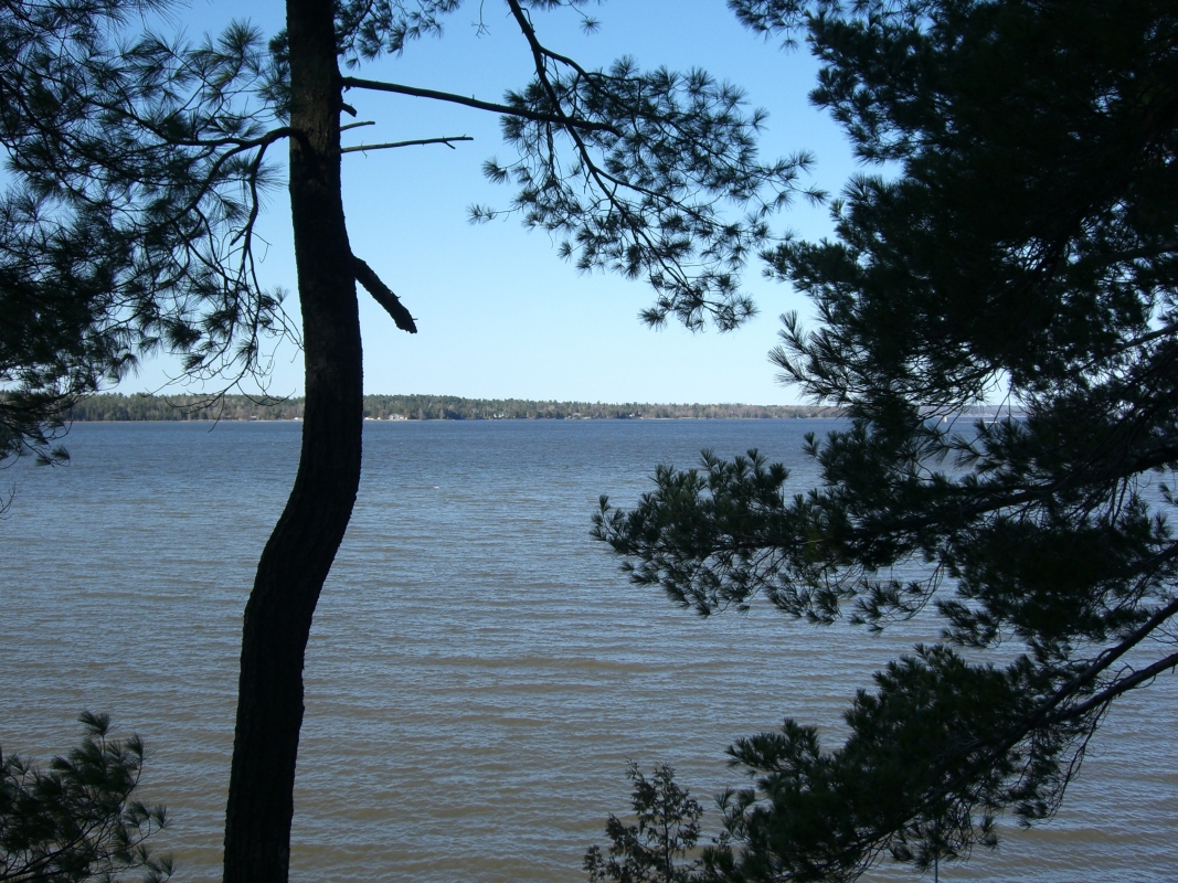 Scaled image cimg1770.jpg (708kB)