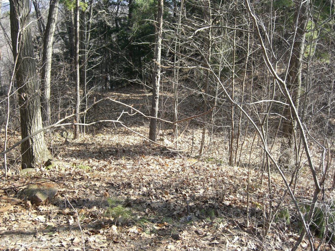 Scaled image cimg1773.jpg (706kB)