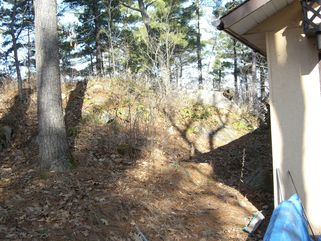 Scaled image cimg1780.jpg (704kB)