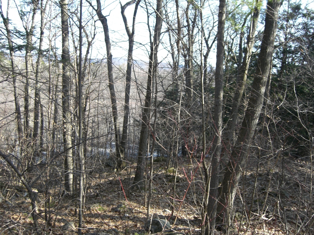 Scaled image cimg1782.jpg (730kB)