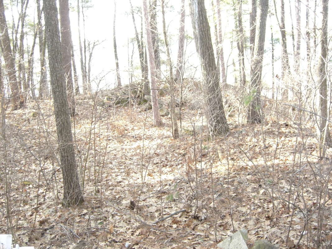 Scaled image cimg1783.jpg (720kB)