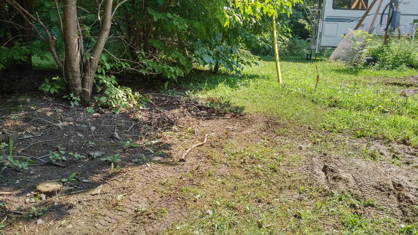 Scaled image IMG_20180807_1433257.jpg (774kB)