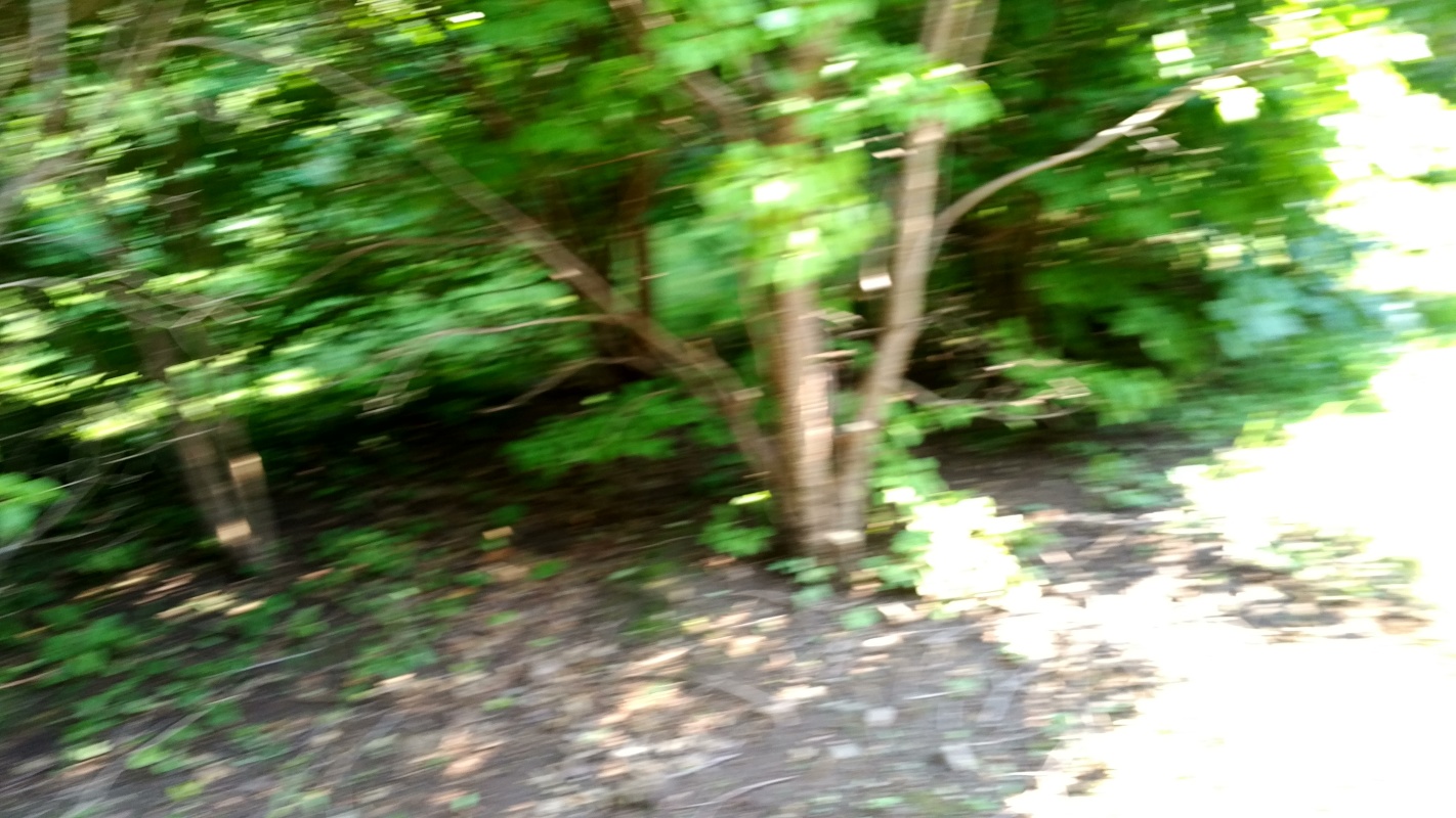 Scaled image IMG_20180807_1433391.jpg (380kB)