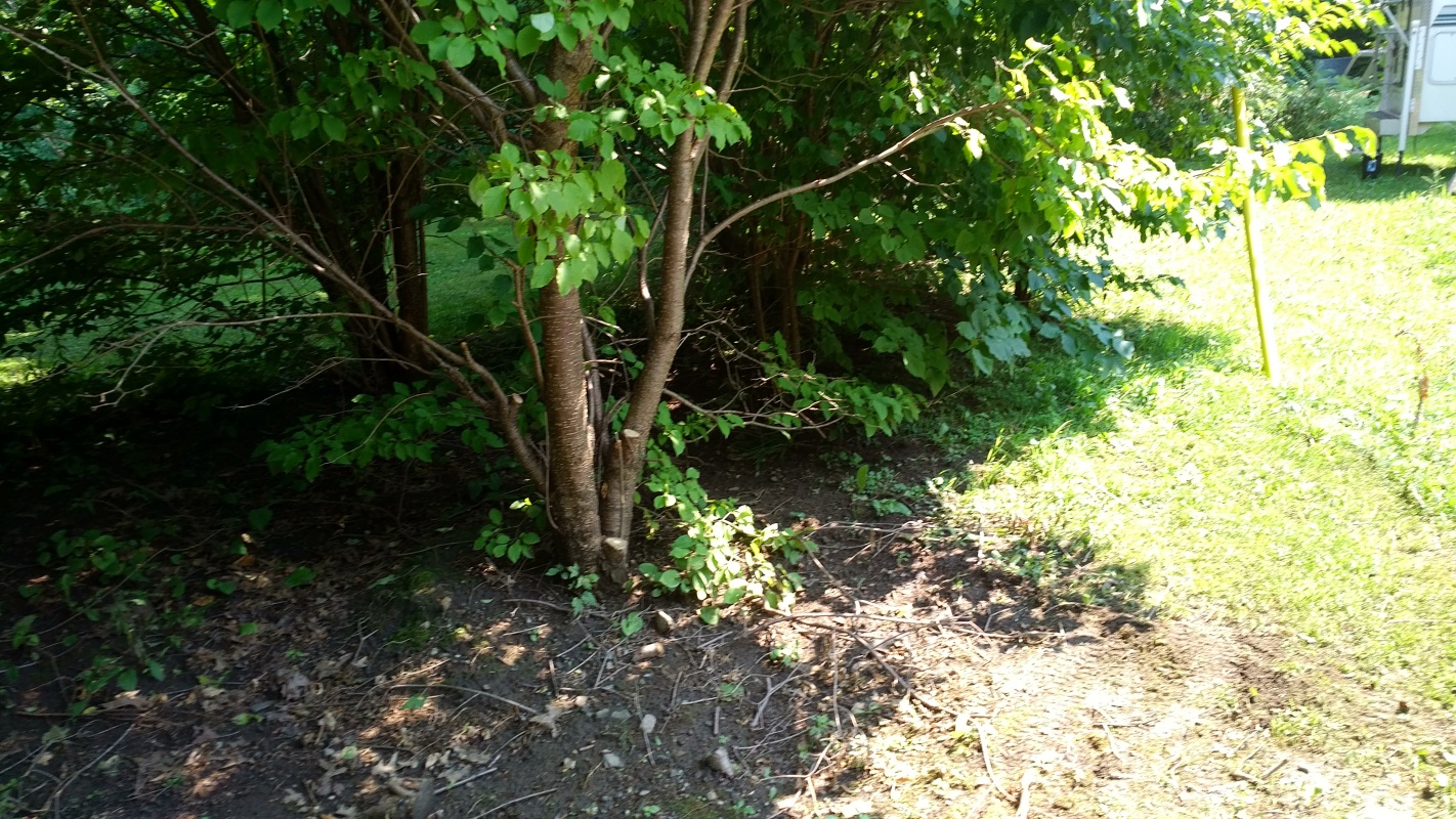 Scaled image IMG_20180807_1433412.jpg (594kB)