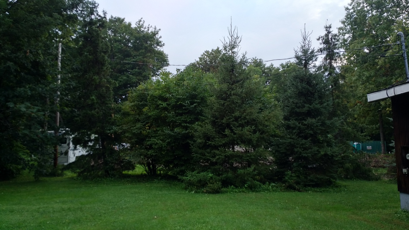 Scaled image IMG_20180905_1725029.jpg (436kB)